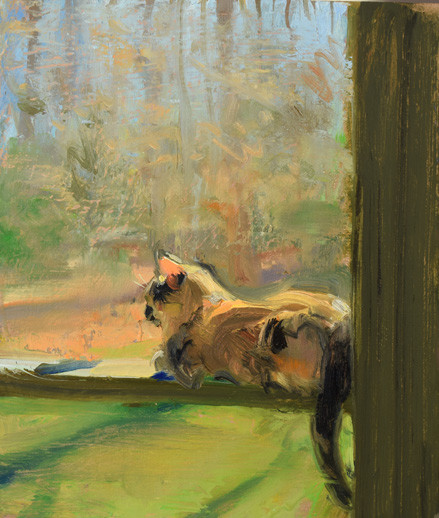 Cat on a Screened Porch — giclée print by Duane Keiser